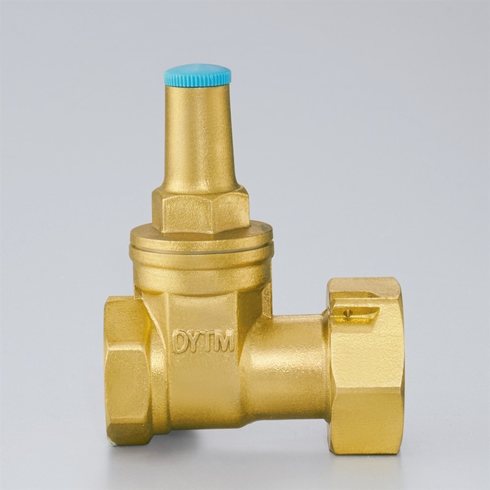 BSP NPT Brass Gate Valves∣Magnetic Lockable price