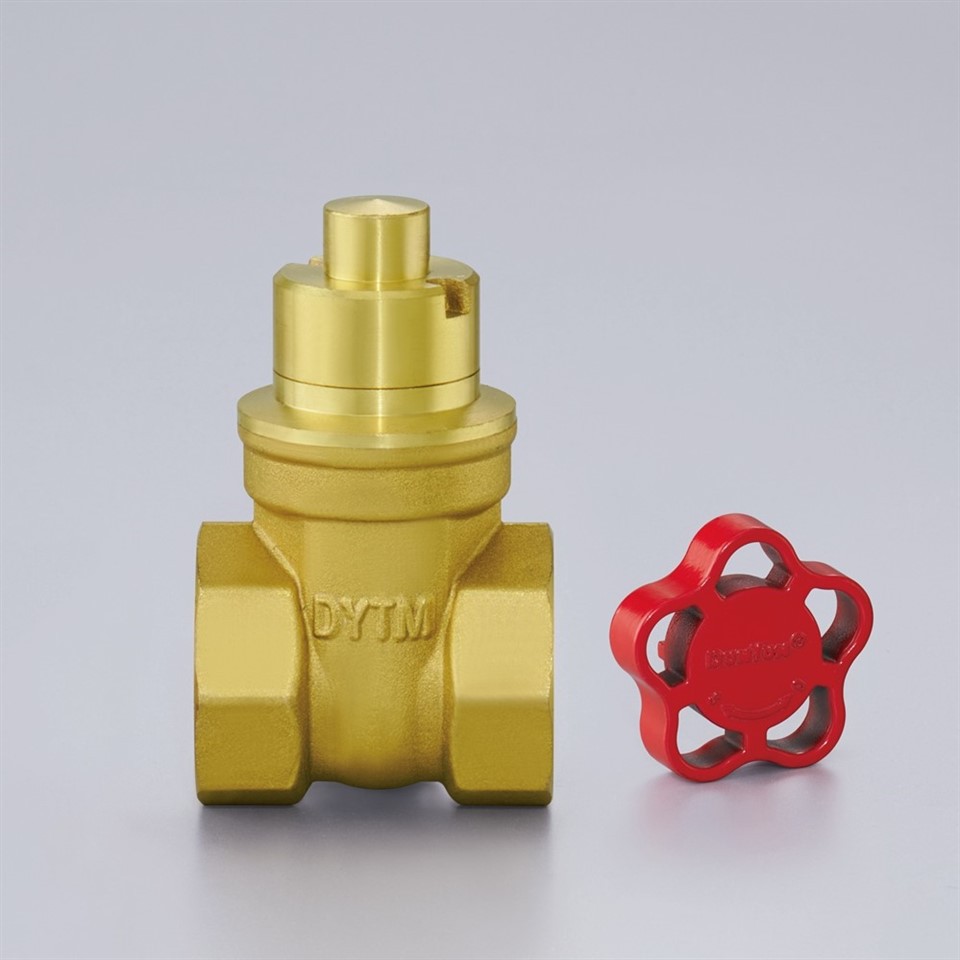 BSP NPT Brass Gate Valves∣Magnetic Lockable factory