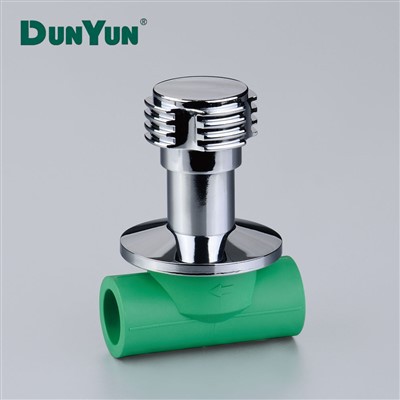 Fabbrika DUNYUN Direttament Valv Globali PPR